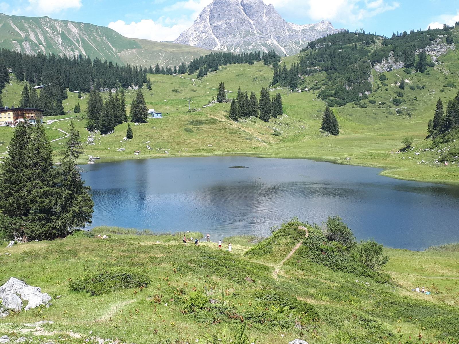 Alpenwiese